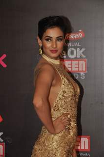 Sayali Bhagat was seen at the 20th Annual Life OK Screen Awards