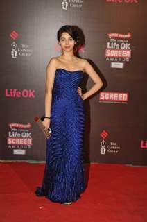 Sasha Agha at the 20th Annual Life OK Screen Awards