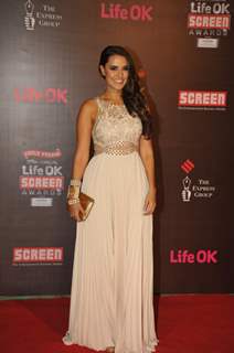 Neha Dhupia at the 20th Annual Life OK Screen Awards