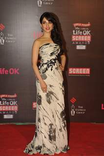 Tamanna Bhatia was at the 20th Annual Life OK Screen Awards