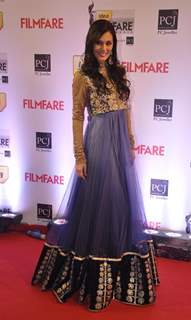 Bruna Abdalah was at the 59th Idea Filmfare Awards 2013