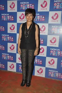Channel V's Nokia India Fest 2014