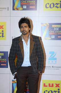 Zee Cine Awards 2014