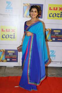 Zee Cine Awards 2014