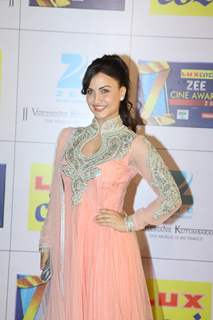 Zee Cine Awards 2014