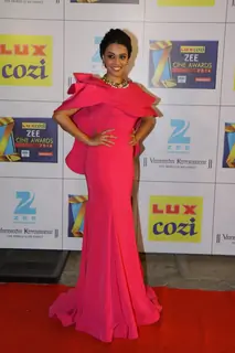 Zee Cine Awards 2014