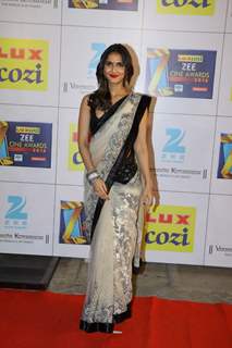 Zee Cine Awards 2014