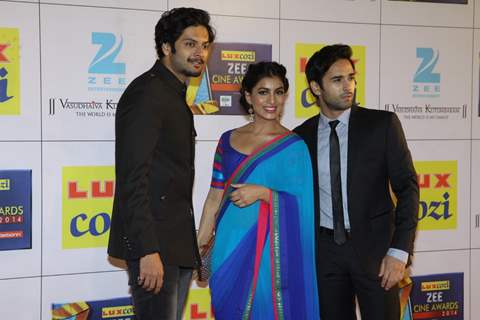 Zee Cine Awards 2014