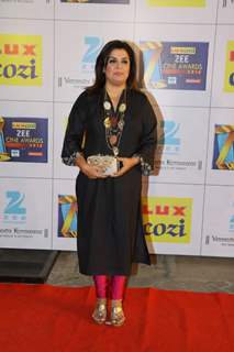 Zee Cine Awards 2014