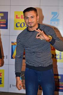 Zee Cine Awards 2014