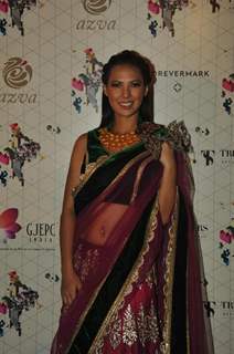 Rochelle Maria at the Launch of Retail Jeweller India Trendsetters 2014