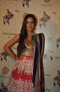 Shazahn Padamsee was seen at the Launch of Retail Jeweller India Trendsetters 2014