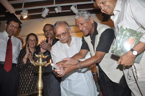 Gulzar and Rajendra Gupta inaugrate Epic on Rock Shelters painting Exhibition