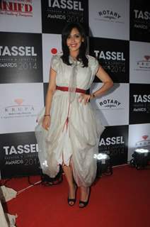 Hrishita Bhatt at the Tassel Fashion & Lifestyle Awards 2014