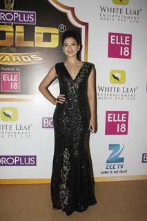 Gauahar Khan at the Boroplus Zee Gold Awards 2014