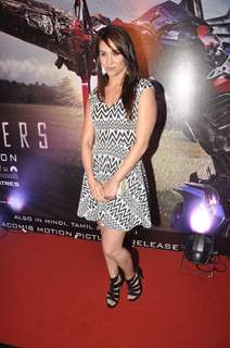 Lauren Gottlieb was seen at Transformers Age of Extinction Premiere