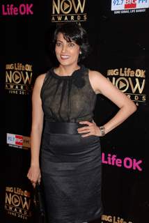 Meghna Malik at Life OK Now Awards .