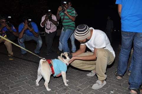 Riteish Deshmukh pets a pug at the success party of ek villain