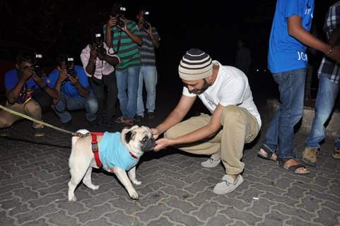 Riteish Deshmukh pets a pug at the success party of ek villain