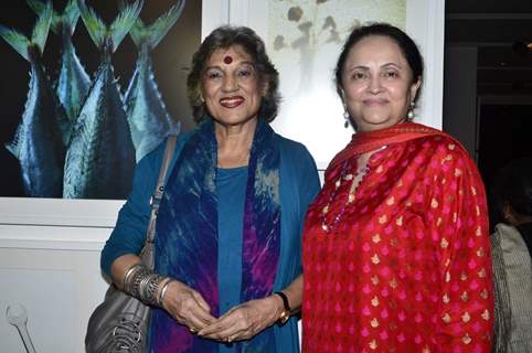 Dolly Thakore with her friend at Bharatiya Vidyapeeth  Photo Exhibition