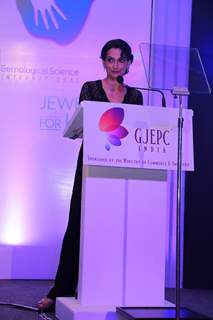 Rajeshwari Sachdev addressing the audience at the GJEPC Awards 2014