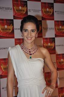 Tara Sharma was at the Retail Jeweller India Awards 2014