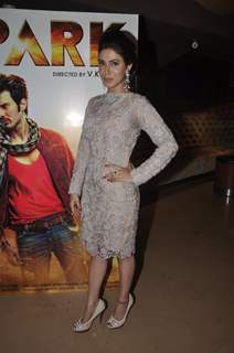 Mansha Bahl at the Trailer Launch of Spark
