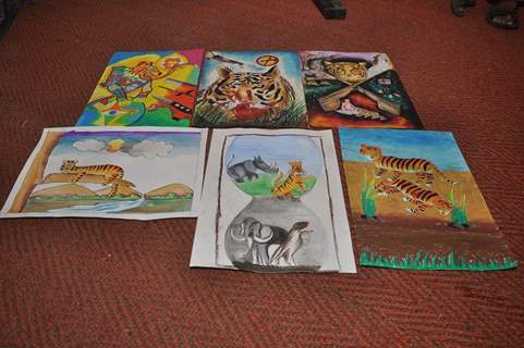 Drawings done by the students at NDTV Save The Tigers Contest