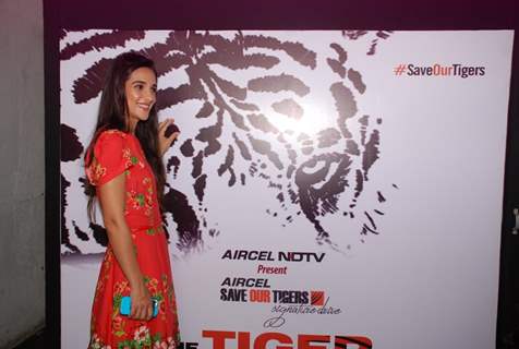 Tara Sharma at NDTV Save the Tigers event