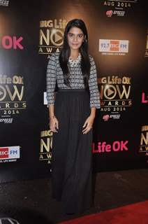 Pooja Gor was at the Life Ok Now Awards