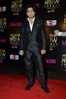 Ankit Tiwari was at the Life Ok Now Awards