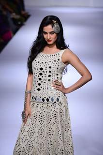 Sonal Chauhan walks the ramp at the Lakme Fashion Week Winter/ Festive 2014 Day 3