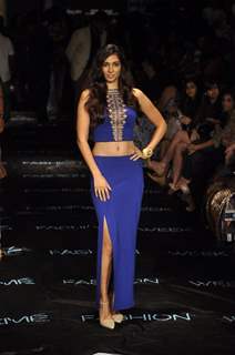 Shveta Salve at the Lakme Fashion Week Winter/ Festive 2014 Day 4