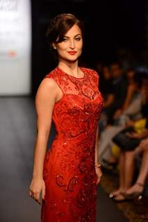 Elli Avram walks the ramp for Miss Selfridge at the Lakme Fashion Week Winter/ Festive 2014 Day 5