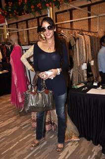 Farah Khan Ali poses for the camera at Araish Charity Exhibition