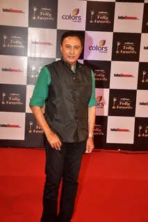 Anang Desai at the Indian Telly Awards
