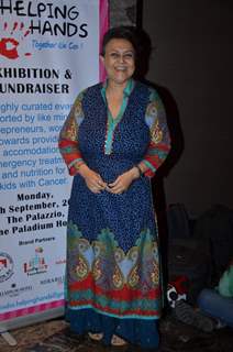 Vandana Malik poses for the media at the Helping Hands Exhibition