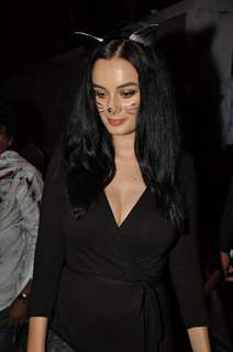 Evelyn Sharma was snapped at Nido Halloween Bash