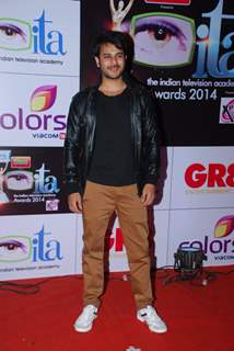 Jay Soni at the ITA Awards 2014