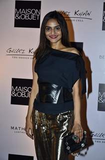 Madhoo poses for the media at The Design Cell and Maison and Objet Cocktail Evening