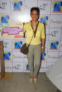 Sandhya Mridul at the Pet Adoptathon 2014
