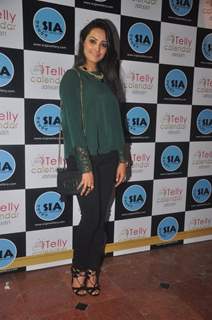 Anita Hassanandani was seen at the Launch of Telly Calendar