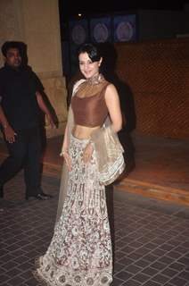 Ameesha Patel poses for the media at the Sangeet Ceremony of Riddhi Malhotra and Tejas Talwalkar