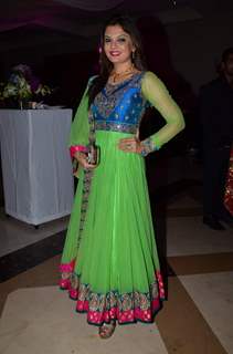 Deepshikha Nagpal poses for the media at Uday and Shirin's Sangeet Ceremony