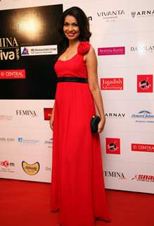 Achala Sachdev at the Femina Style Diva 2014