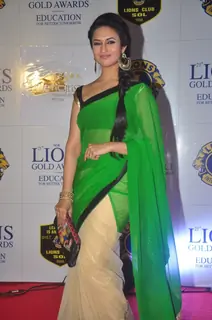 Divyanka Tripathi poses for the media at Lion Gold Awards