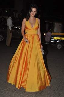 Evelyn Sharma was seen at the 60th Britannia Filmfare Awards