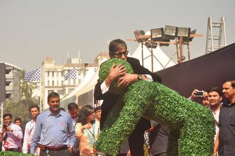 Amitabh Bachchan was snapped at the Promotions of Shamitabh at Mumbai International Motor Show 2015