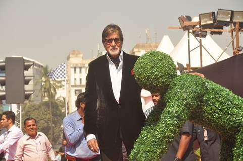 Amitabh Bachchan poses at the Promotions of Shamitabh at Mumbai International Motor Show 2015