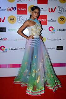 Lisa Haydon poses for the media at India Beach Fashion Week